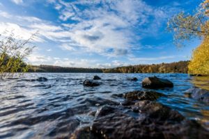 Der Berggeistsee mit Schilf und Herbstlaub unter blauem Himmel
